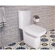 AZARIO Унитаз-компакт  Wandy 350х614х795 напольный, безободковый, с быстросъемным сиденьем микролифт (AZ-56D) AZ-56D - фото 356977