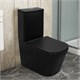 AZARIO Унитаз-компакт  Black King 370х640х810 безободковый, с быстросъемным сиденьем микролифт, черный матовый (AZ-8303D) AZ-8303D - фото 357397