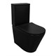 AZARIO Унитаз-компакт  Black Queen 370х605х800 безободковый, с быстросъемным сиденьем микролифт, черный матовый (AZ-8380) AZ-8380 - фото 357399