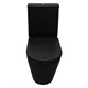 AZARIO Унитаз-компакт  Black Queen 370х605х800 безободковый, с быстросъемным сиденьем микролифт, черный матовый (AZ-8380) AZ-8380 - фото 357402