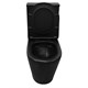 AZARIO Унитаз-компакт  Black Queen 370х605х800 безободковый, с быстросъемным сиденьем микролифт, черный матовый (AZ-8380) AZ-8380 - фото 357403