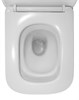 AZARIO Унитаз подвесной  Cascad M 490x345x325 безободковый, система смыва "Скрытое Торнадо", с быстросъемным сиденьем микролифт (AZ-10002) AZ-10002 - фото 357506
