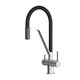 AM.PM Func Смеситель для кухни с каналом для питьевой воды и гибким изливом, хром,черн. излив F8F07802