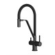 AM.PM Func Смеситель для кухни с каналом для питьевой воды и гибким изливом, черн.,черн. излив F8F07822