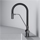 AM.PM Func Смеситель для кухни с каналом для питьевой воды и гибким изливом, черн.,черн. излив F8F07822
