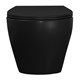 AZARIO Keras Унитаз подвесной matt black 520х370х360 безободковый, с быстросъемным сиденьем микролифт, черный матовый (AZ-99046B) AZ-99046B