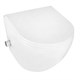 AZARIO Grado Унитаз подвесной 365х495х365 безободковый, с функцией биде, с быстросъемным сиденьем микролифт (AZ-046E-NR) AZ-046E-NR