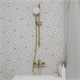 IDDIS Стойка для душа Ray золото матовое (RAY70MGi17) RAY70MGi17