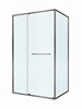CEZARES Lux Душевой уголок прямоугольный двери раздвижные размер 110x100 см, цвет профиль - оружейная сталь / стекло - прозрачное LUX-AH-FS-11-110/100-C-GM