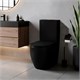 AZARIO Унитаз-компакт Cobalt-Black 610x360x805 напольный, безободковый, система смыва "скрытое Торнадо", с быстросъемным сиденьем "Микролифт", черный матовый (AZ-6089A-MB) AZ-6089A-MB