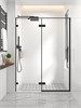 VECONI Душевая дверь распашная  Premium Alassio B, 1500х2000, черный матовый, стекло прозрачное осветленное AL-150-00-B-C4