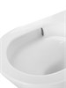 BELBAGNO Acqua-Tor Чаша напольного унитаза со смывом "Торнадо" с сиденьем ACQUA-TOR BB2801CP-TOR/SC BB2801CP-TOR/SC