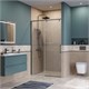 BELBAGNO Soft Close-1 Душевая дверь в нишу раздвижная ширина 120 см, профиль - оружейная сталь / стекло - прозрачное SOFT_CLOSE-1-BF-1-120-C-GM