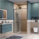 BELBAGNO Soft Close-1 Душевая дверь в нишу раздвижная ширина 120 см, профиль - оружейная сталь / стекло - прозрачное SOFT_CLOSE-1-BF-1-120-C-GM