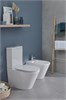 UJAB102-00 RODIN+ Чаша напольного унитаза с креплениями UJAB102-00
