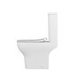 VITRA Унитаз-компакт напольный Zentrum 9824B003-7219 с сиденьем микролифт белый санитарный фарфор антибактериальное покрытие Hygiene 9824B003-7219