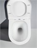 AQUATEK SET ЛИБЕРТИ-INS17-034 (рама INS-0000017 + KKI-0000001 + KDI-0000034 унитаз ЛИБЕРТИ AQ1999T-00 с тонким сиденьем sc SET AQUATEK ЛИБЕРТИ-INS17-034