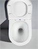 AQUATEK SET ЛИБЕРТИ-034 INS-23 (рама INS-0000023 +крепёж KKI-0000002+клавиша KDI-0000034 +унитаз ЛИБЕРТИ AQ1999T-00 с тонким сиденьем sc) SET AQUATEK ЛИБЕРТИ-034 INS-23
